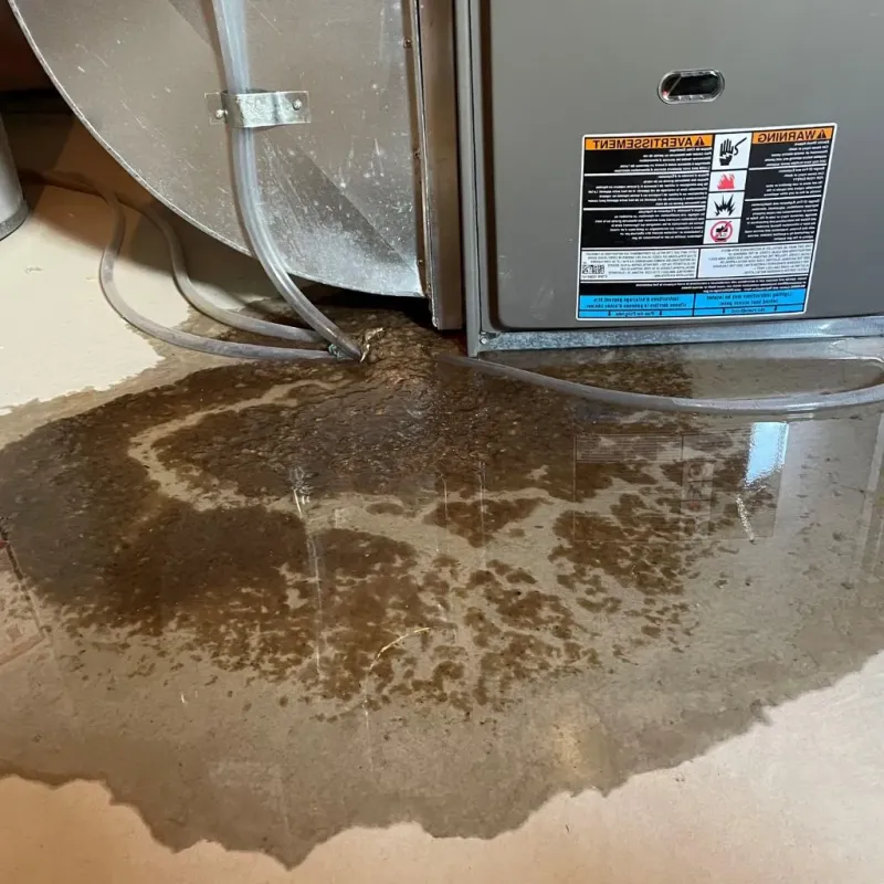 Pipe Burst and Leak Restoration in Kirksville, MO